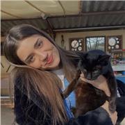 Profesora particular con nivel C2 dispuesta a trabajar con niños de todas las edades